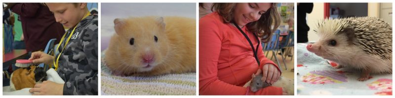 Humane Education Classroom Pets
