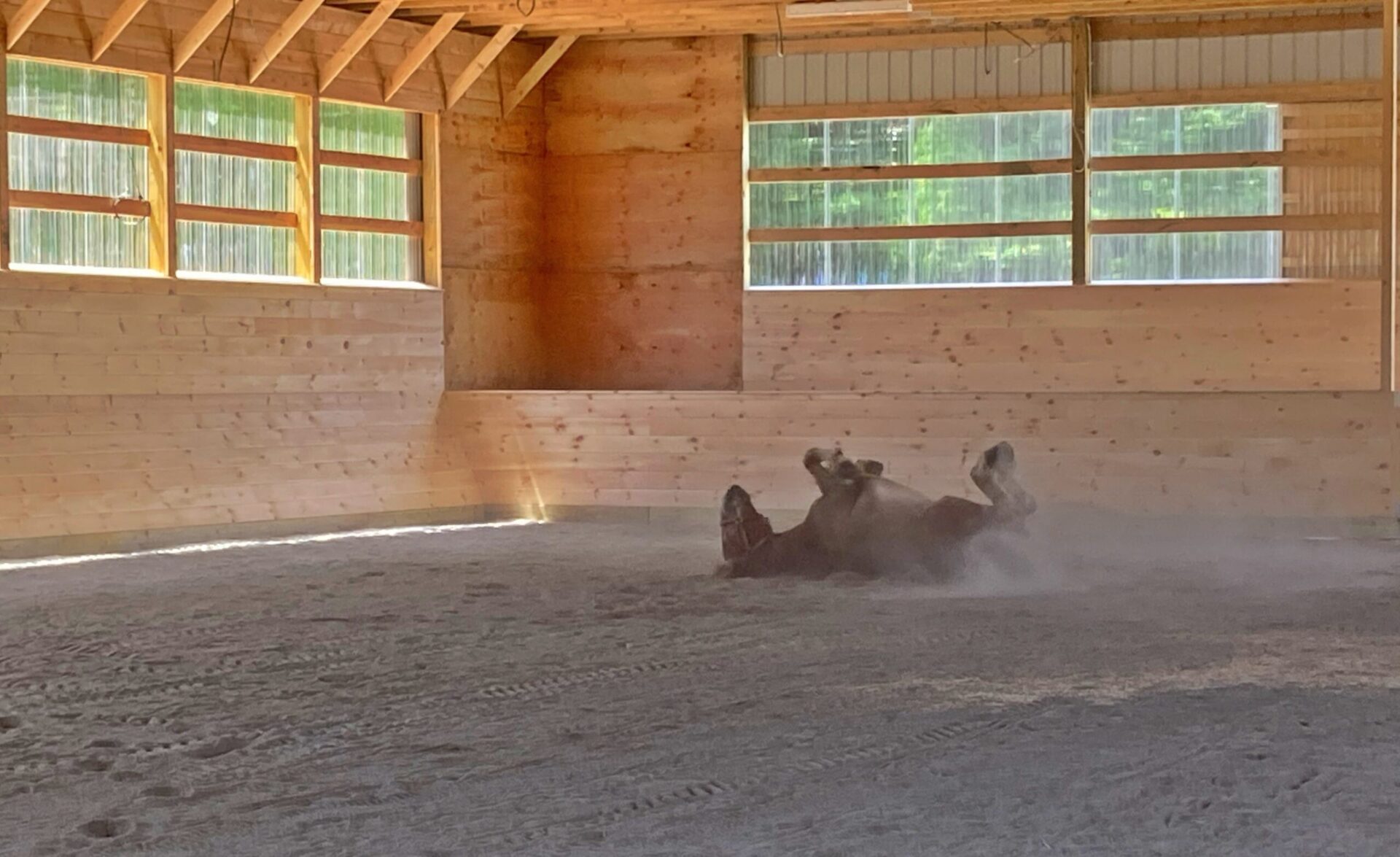 Rolling in the Arena