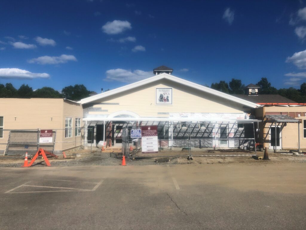 The Adoption Center is Getting a Face Lift