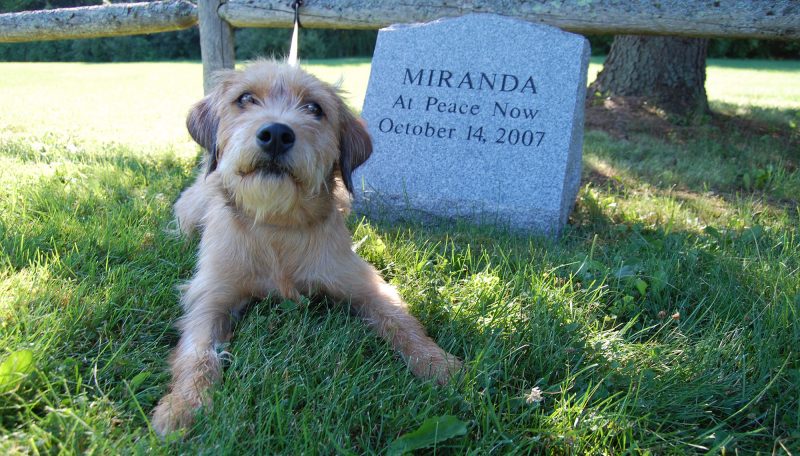 Rolling Meadows Pet Cemetery in Stratham, NH